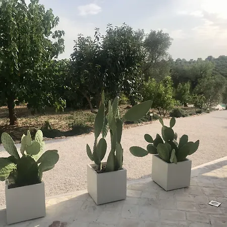 B&B Trulli Pietraverde