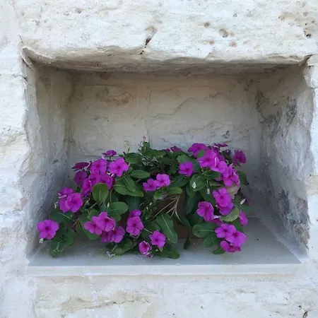Trulli Pietraverde Bed & Breakfast *